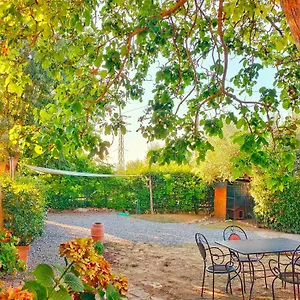 La Casina Casa vacanze